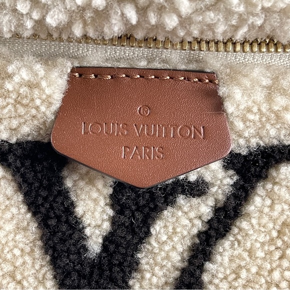 Louis Vuitton Teddy Mono Bumbag - Picture 10 of 14